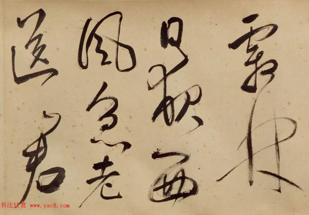 张照(1691—1745),初名默,字得天,长卿,号泾南,天瓶居士,华亭(今上海