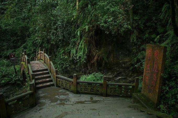 冬季徒步登上峨眉山金顶是什么体验?_五显岗