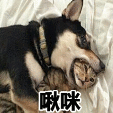 腿粗还显胖穿这种裤子你可能就踩雷了