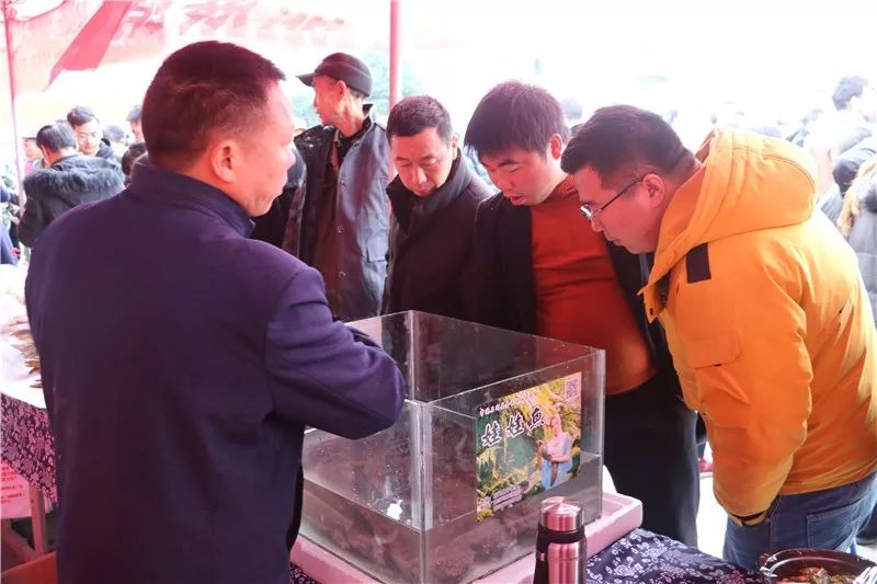 车岗镇经济总量_车岗镇(2)