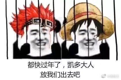 快过年了,凯多,放我们出去吧