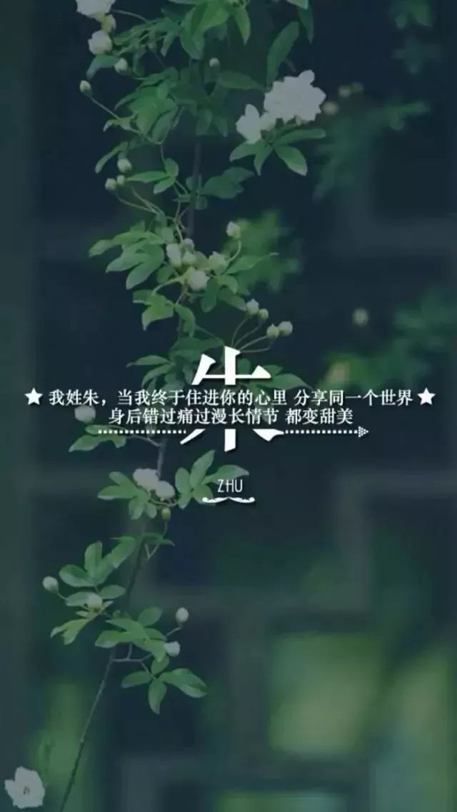 0113壁纸 | 66张姓氏壁纸,有你的姓吗?