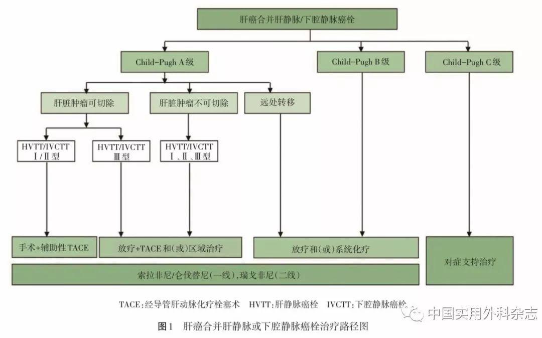 肝功能gdp_肝功能化验单(3)