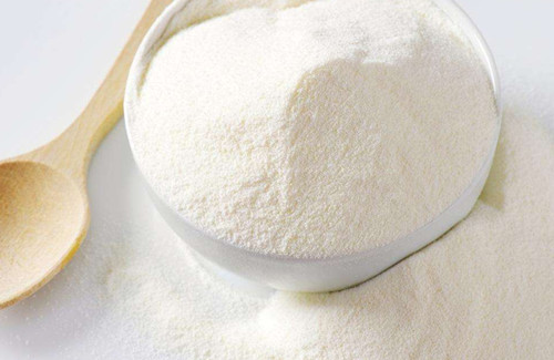 养宠物心得分享- 两月的金毛幼犬偏瘦了能够喂奶粉吗