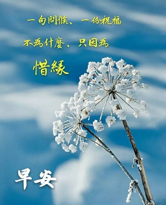 星期二最新漂亮早上好祝福问候语图片,腊月暖心的早上
