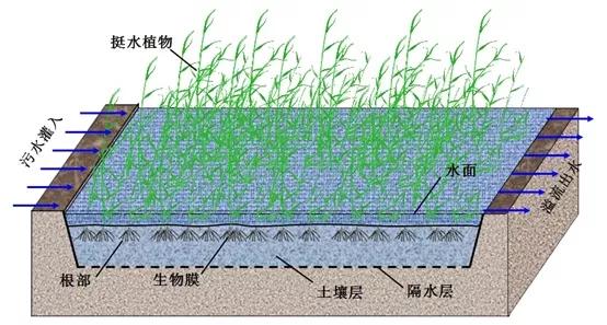 水变成白色的雾气是什么原理_什么颜色能变成白色(2)