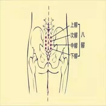 八髎穴 分别在第一,二,三,四骶后孔中. 男科病妇科病