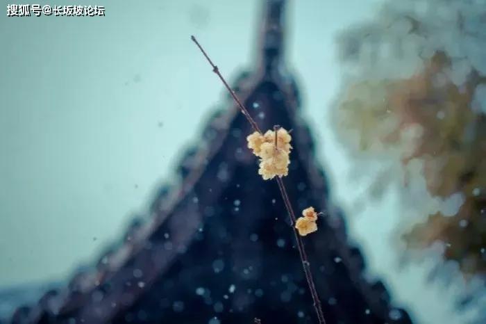 "一切都会过去的"(深度好文)