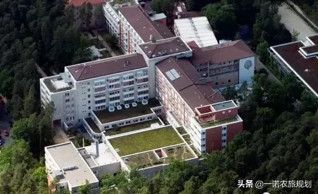 文章配图-3