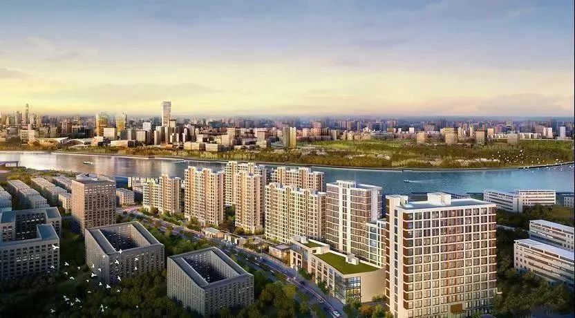 惊天资本“局中局”：鱼死网破徐国良，捡漏高