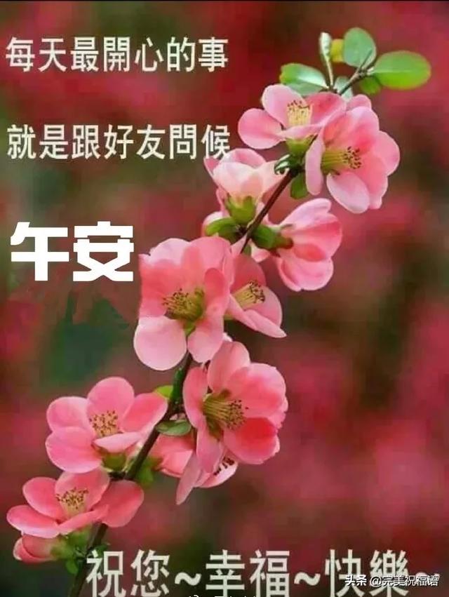 清早问候大家早上好的早安祝福语图片最新早晨好问候祝福语短信