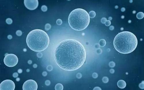 胚胎干细胞治疗法，是“克隆”技术的核心