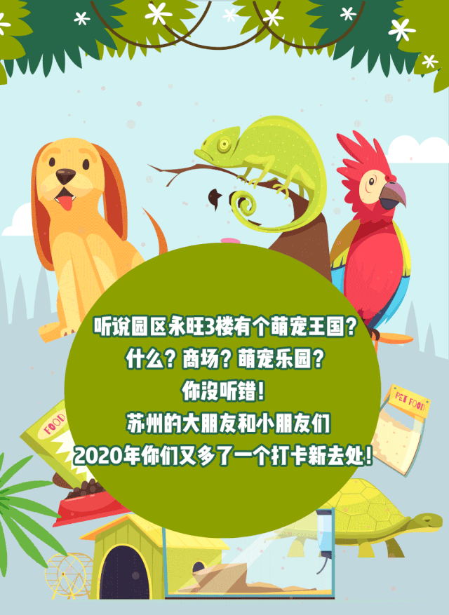 640_877竖版 竖屏gif 动态图 动图