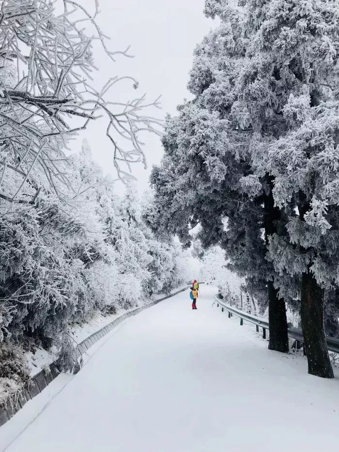 余位5个1月1819日冰雪南岳衡山雾凇云海徒步朝圣天路走进白色梦幻世界