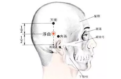 浮白准确位置图 来自搜狐网