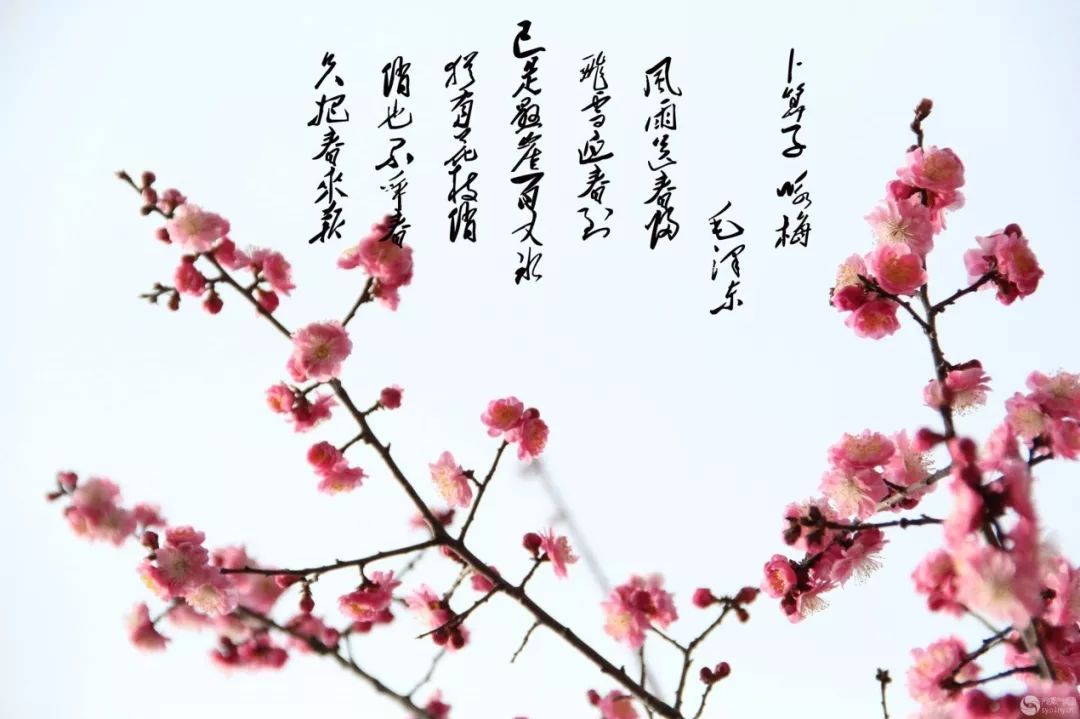 咏梅李元华曲谱_京剧咏梅李维康曲谱(3)