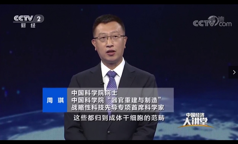 胚胎干细胞治疗法，是“克隆”技术的核心