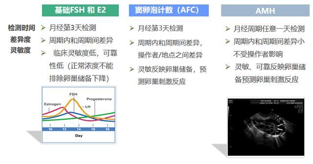 生殖内分泌常识