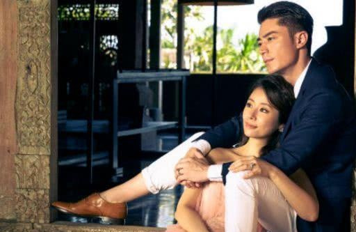 靳东的老婆, 霍建华的老婆, 张嘉译的老婆, 都比