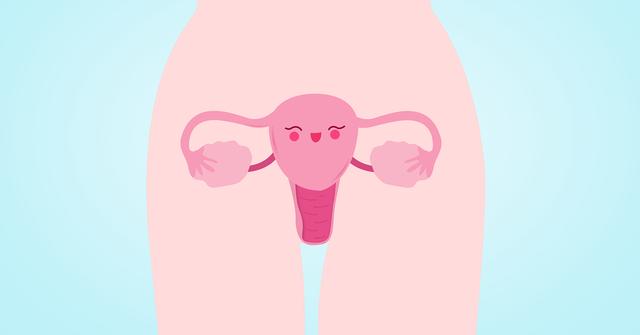 呵护卵巢健康有多重要?卵巢好的女人,身体比其他女人多这些好处
