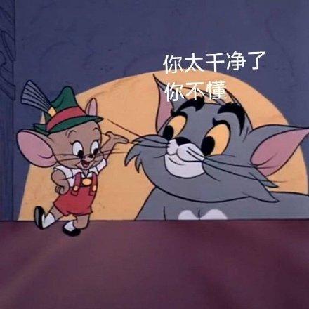 猫和老鼠表情包合集|给宁拜个早年
