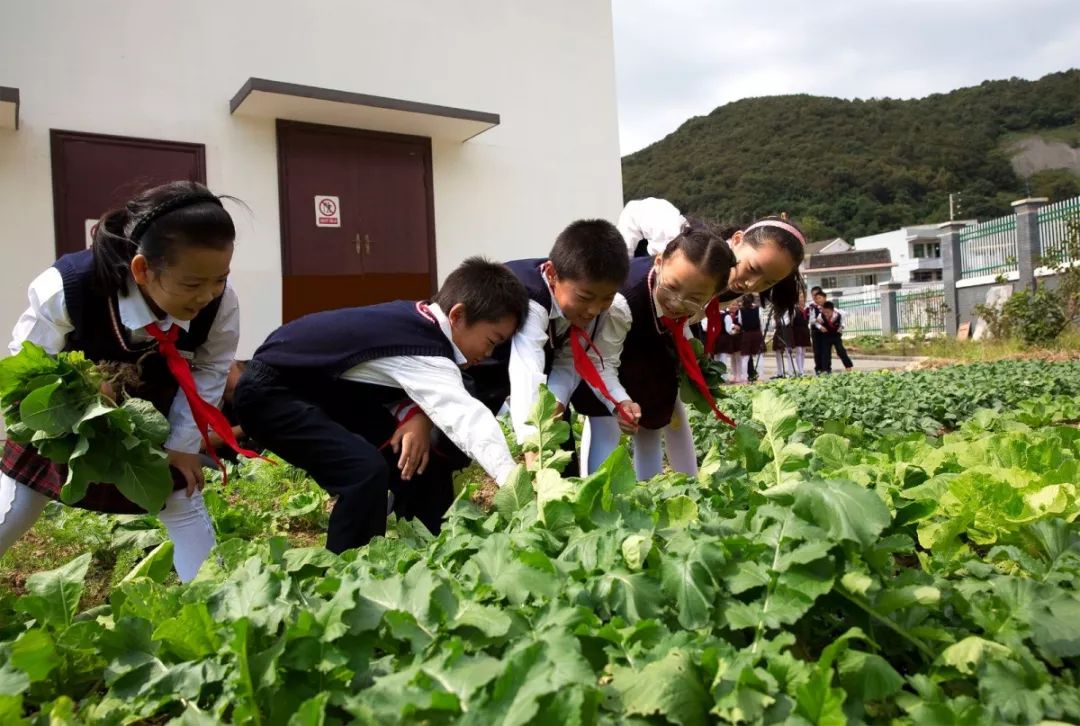 课程实施,多样活动…这些学校的劳动教育风景,不容错过"奏响劳动