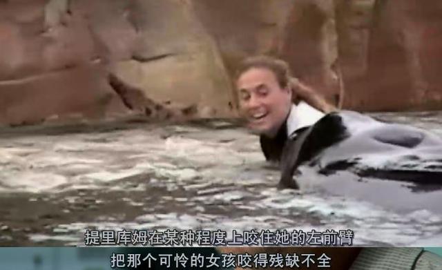 提里库姆总共杀了三个人.