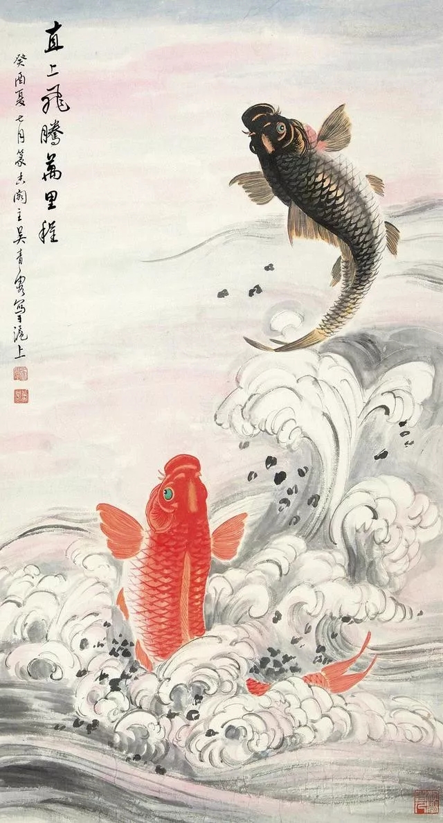 锦鲤是如何成为幸运代表的?_鲤鱼