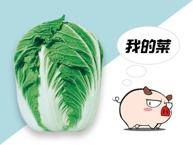 如果让我用一种蔬菜来形容她,她就是棵好白菜.