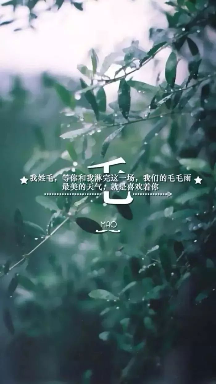 0113壁纸 | 66张姓氏壁纸,有你的姓吗?