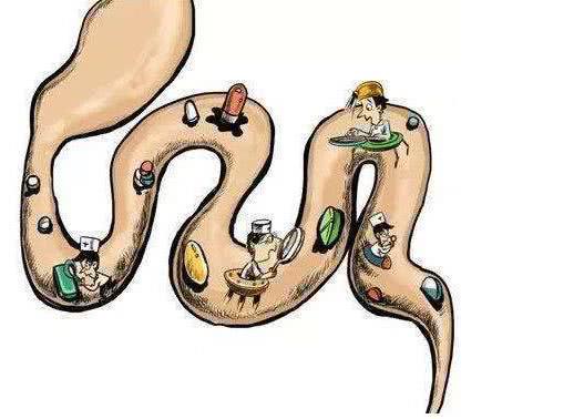 吃什么东西最能大便畅通 d391e5175dfb415f90187da1193f56f3.jpeg