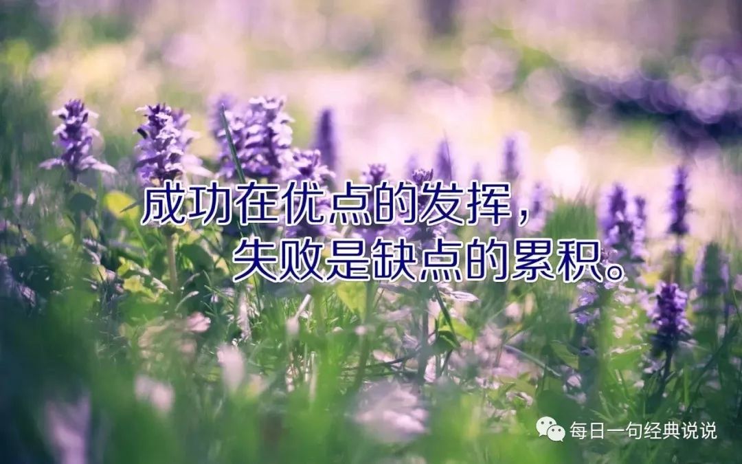 心灵鸡汤发朋友圈必火的句子