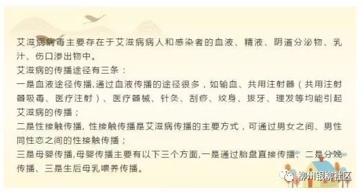 冬梅简谱_冬梅花图片(3)
