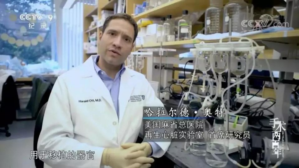 胚胎干细胞治疗法，是“克隆”技术的核心