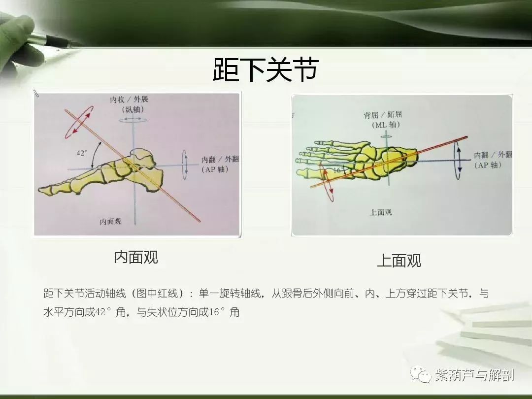 体态评估下肢生物力线检测及其临床意义