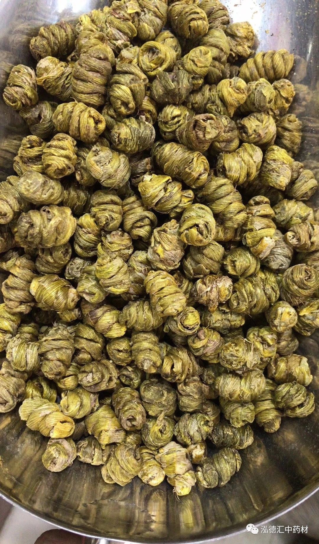 花旗参和西洋参是一个东西吗 e682ef3dabf149e092a7a362cb323a85.jpeg