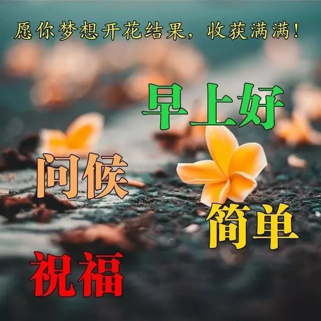 早上好的祝福语图片表情 早上好的问候语唯美句子2020