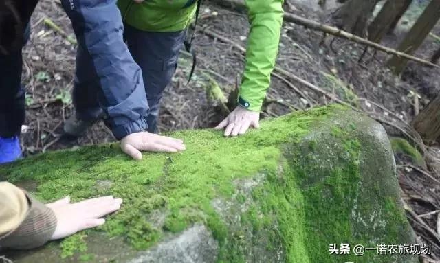 文章配图-17