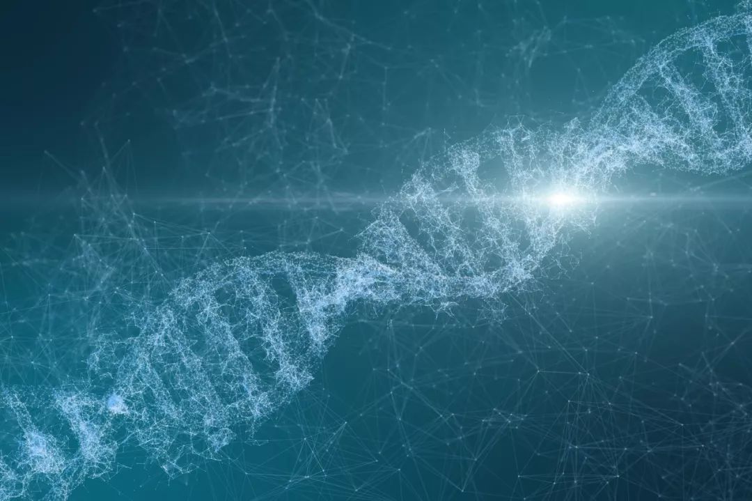 5000字详解基因检测的高光与未来|