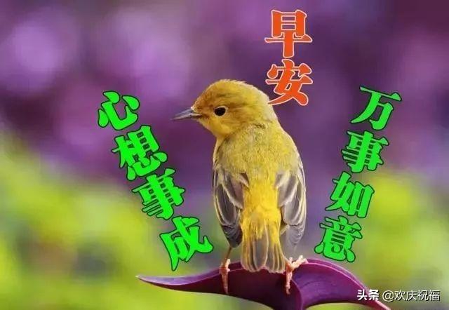 併Ϻף,簲ףͼƬִͼ