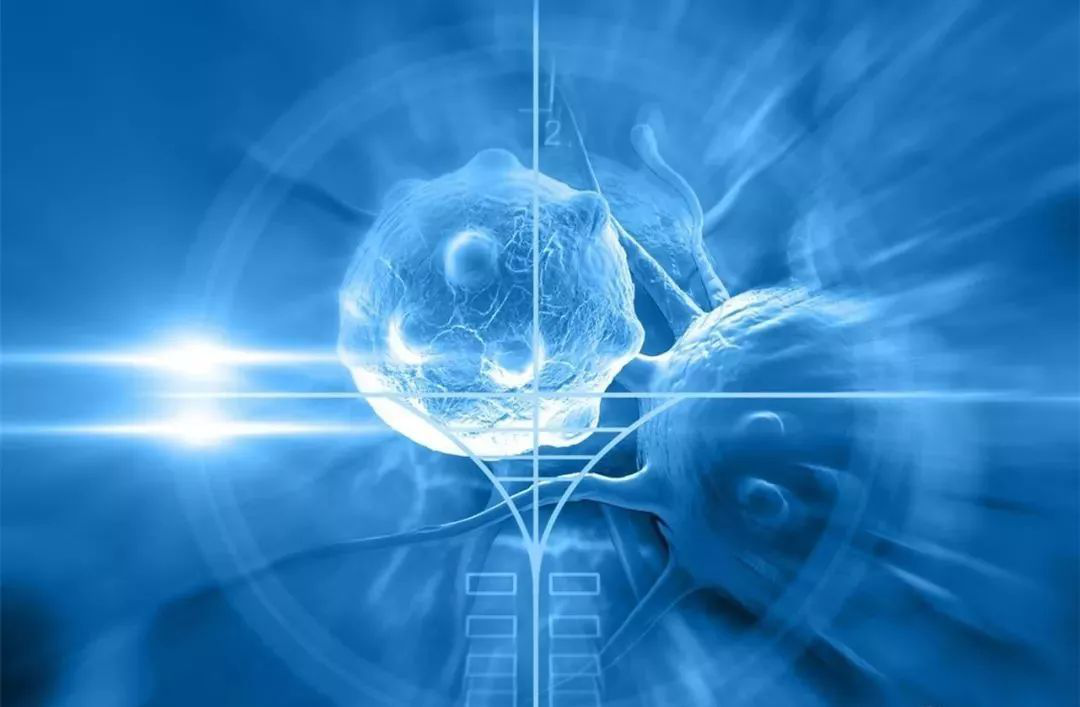 随着干细胞在国际上推广，胚胎干细胞已成为核心