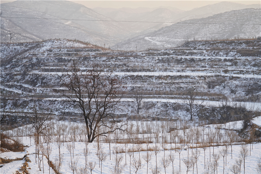 成语井什么沟_成语故事图片(2)