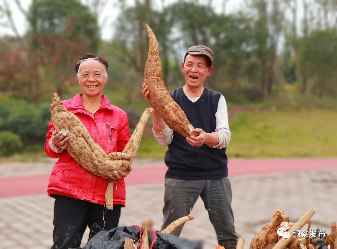 小伙伴们, 人民公园的笑脸墙灯组 你去看了没?