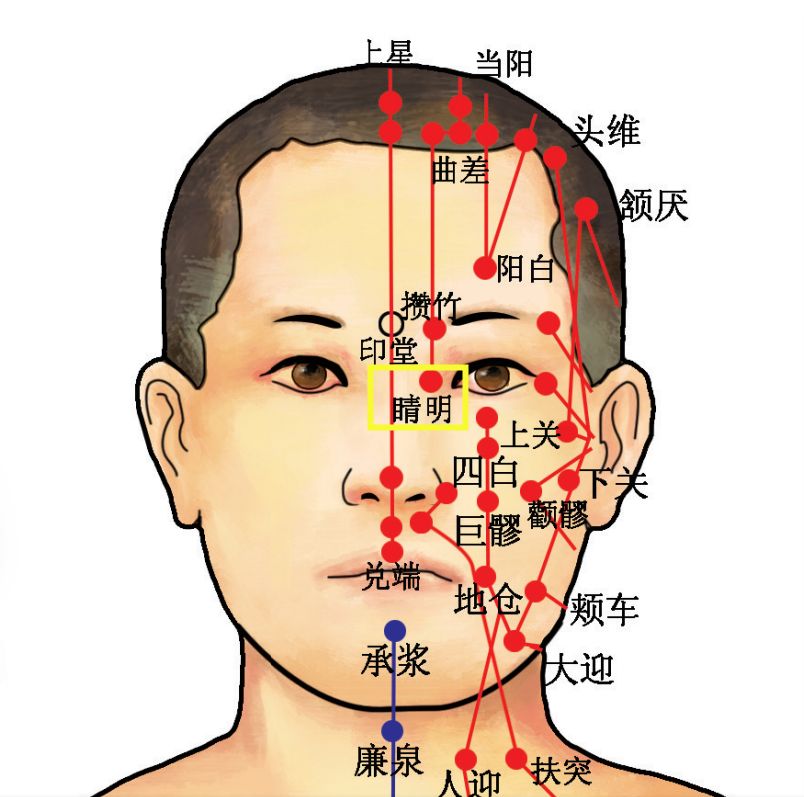 穴位知识十二经脉足太阳膀胱经之睛明穴