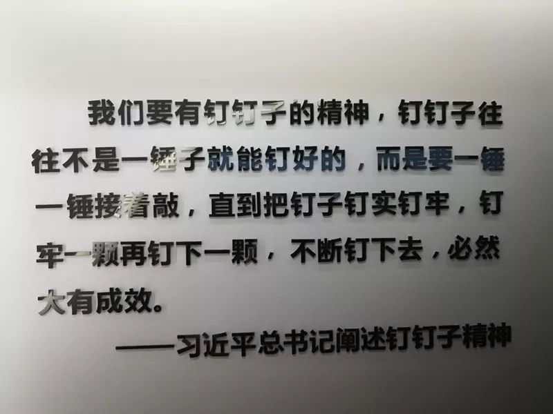 并将这种"钉子精神"运用到工作和生活中去让大家深刻地感受到不一般的