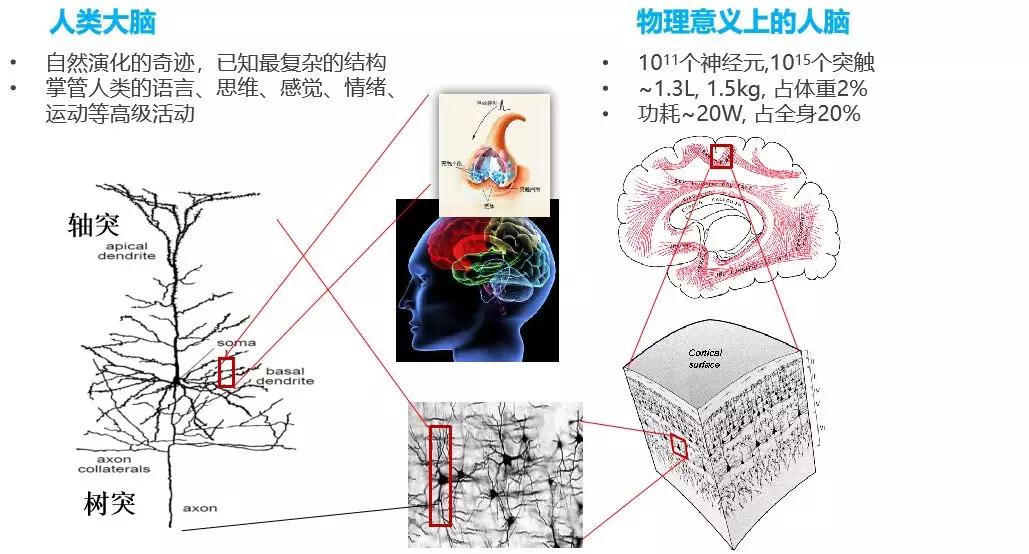 装了类人脑系统的人，还能算人吗？