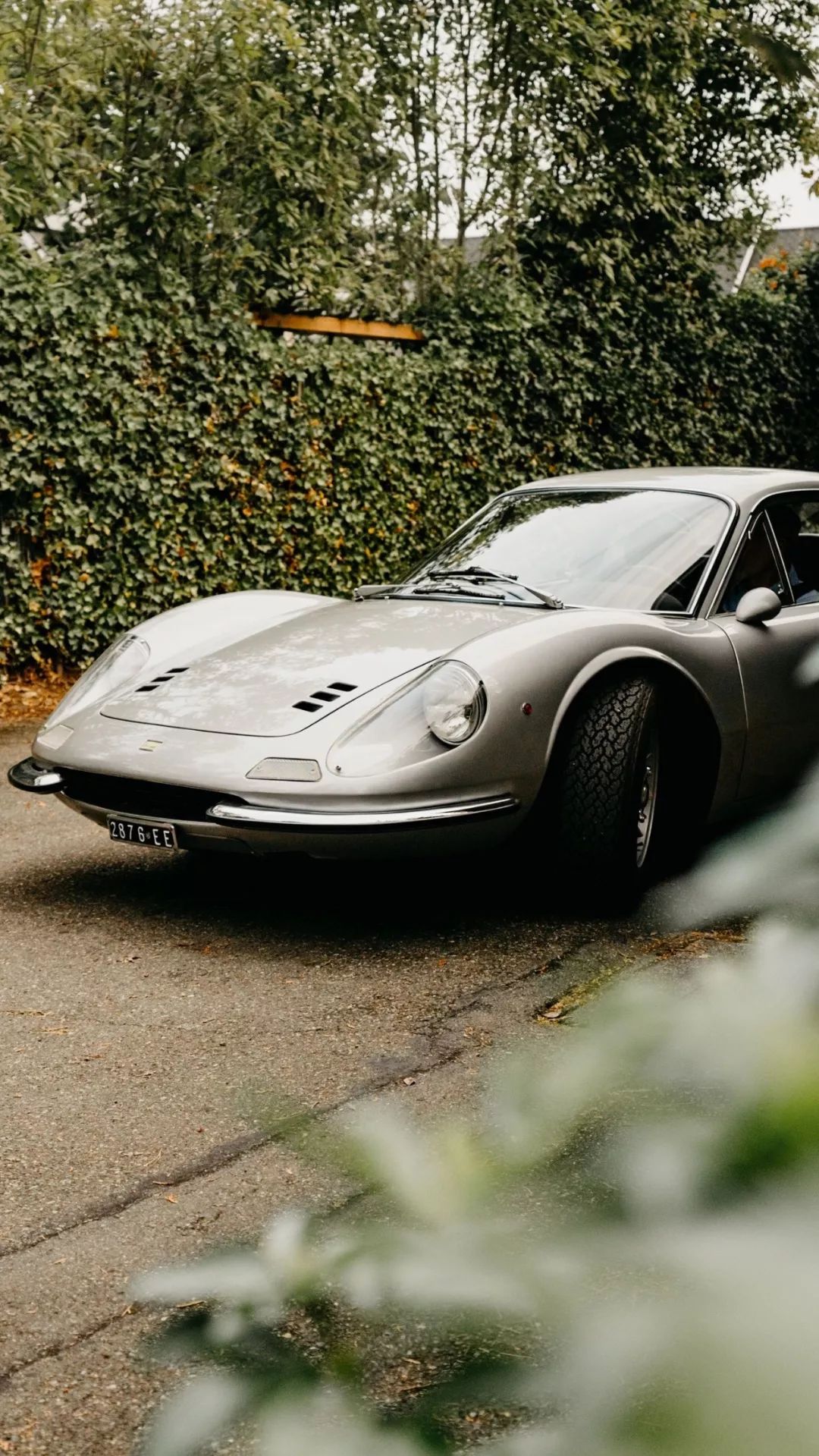 高清手机壁纸 | 超清唯美4K壁纸美图