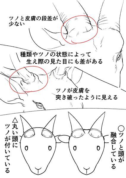 人物,动物,怪物,恶魔头角的画法