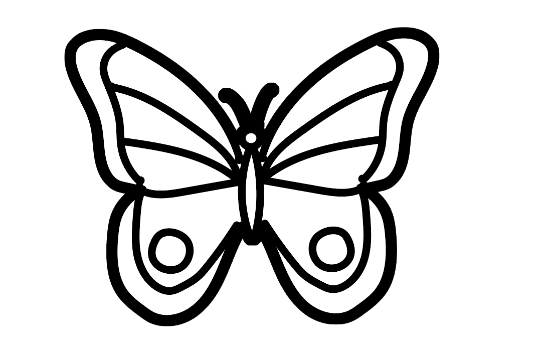画一只大蝴蝶,涂上漂亮的颜色