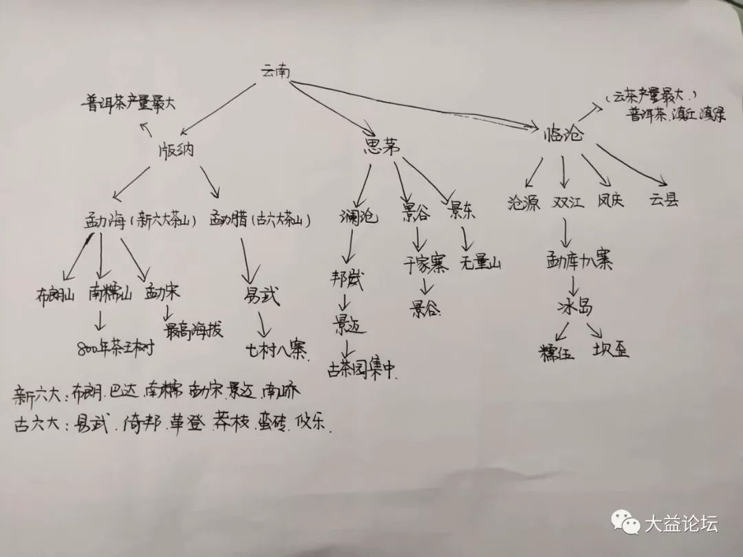 流普洱茶产区分布及特色口感大全附该产区大益的茶